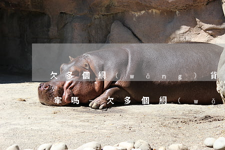 欠多個網(wǎng)貸還不了會被起訴坐牢嗎-欠多個網(wǎng)貸還不了會被起訴坐牢嗎知乎