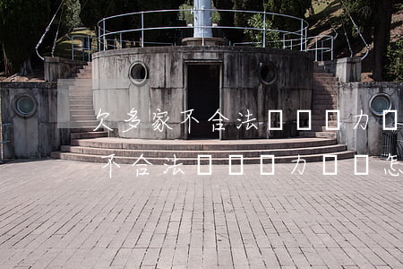 欠多家不合法網貸無力償還怎么辦-欠多家不合法網貸無力償還怎么辦呢