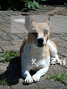 欠多家信用卡100萬