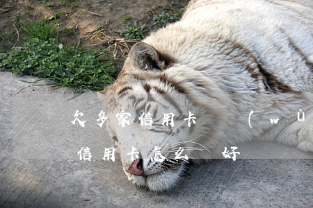 欠多家信用卡債務(wù)怎么辦-欠多家信用卡怎么還好