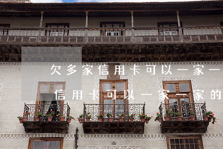 欠多家信用卡可以一家一家的還嗎-欠多家信用卡可以一家一家的還嗎怎么還