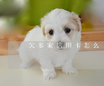 欠多家信用卡怎么辦?。ㄇ范嗉倚庞每ㄔ趺崔k）