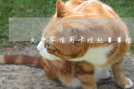 欠多家信用卡被起訴會被判刑嗎-