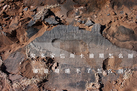 欠多家信用卡逾期怎么辦(欠信用卡幾十萬全部逾期還不了怎么辦)