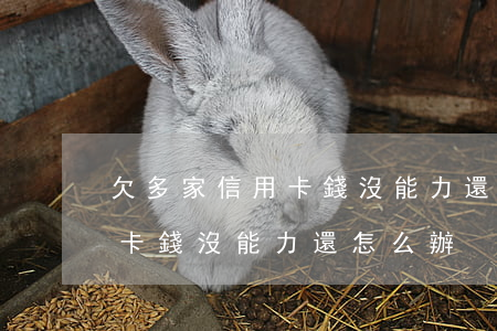 欠多家信用卡錢沒能力還怎么辦(欠多家信用卡錢沒能力還怎么辦)