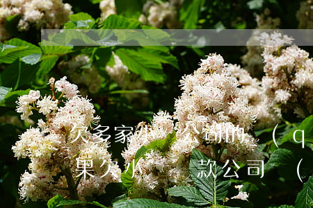 欠多家小貸公司的錢(qián)還不上(如果欠小額貸款公司錢(qián)還不上怎么辦)