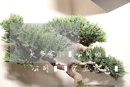 欠多家小貸公司的錢還不上(如果欠小額貸款公司錢還不上怎么辦)