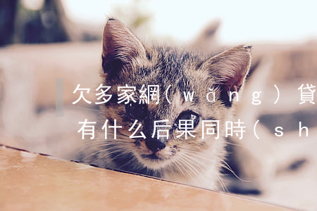 欠多家網(wǎng)貸不還會(huì)有什么后果(同時(shí)欠了多家網(wǎng)貸不還會(huì)怎樣)