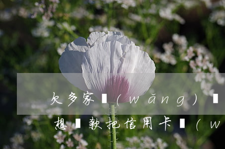 欠多家網(wǎng)貸信用卡如何還款(我想貸款把信用卡網(wǎng)貸還清)