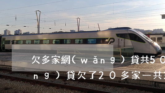 欠多家網(wǎng)貸共50萬(網(wǎng)貸欠了20多家一共30萬)