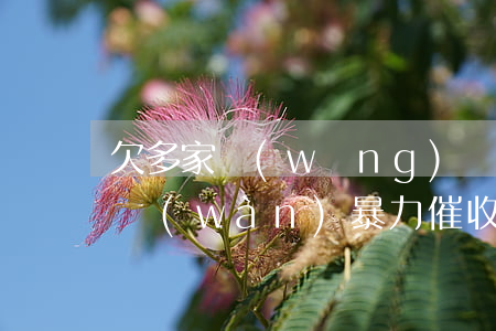 欠多家網(wǎng)貸共計(jì)40萬(wàn)暴力催收-