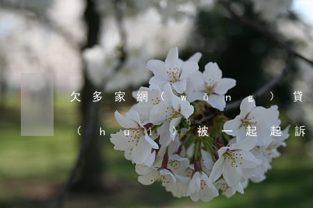 欠多家網(wǎng)貸會(huì)不會(huì)被一起起訴(欠多家網(wǎng)貸會(huì)不會(huì)被一起起訴)
