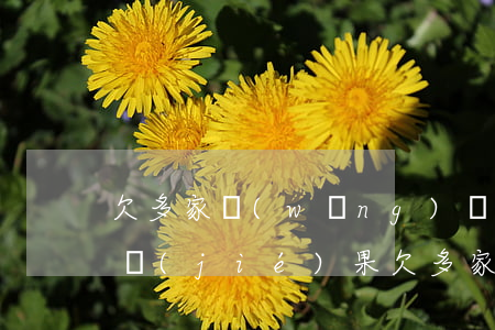 欠多家網(wǎng)貸逾期無力償還最壞結(jié)果(欠多家網(wǎng)貸逾期無力償還最壞結(jié)果)