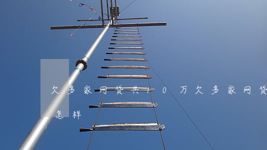 欠多家网贷共10万(欠多家网贷共10万会怎样)