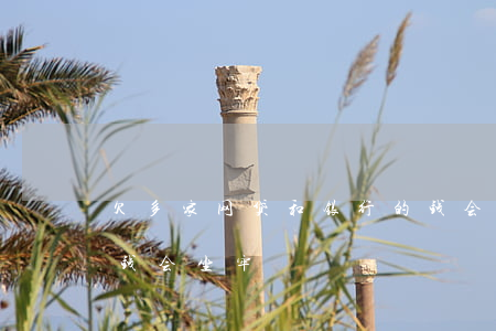 欠多家网贷和银行的钱会坐牢吗(网贷欠多少钱会坐牢)