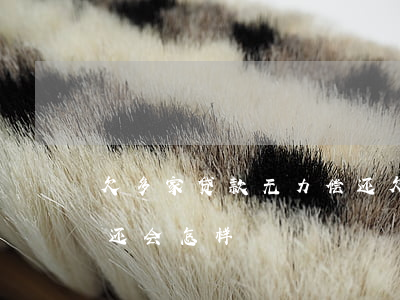 欠多家贷款无力偿还(欠多家银行贷款无力偿还会怎样)