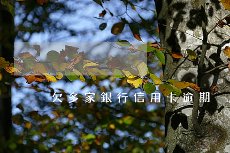 欠多家銀行信用卡逾期