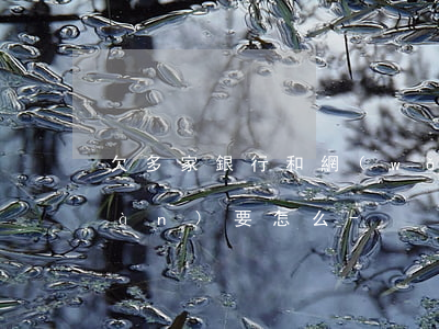 欠多家銀行和網(wǎng)貸30萬(wàn)要怎么-