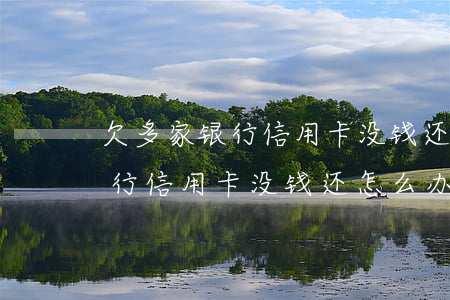 欠多家银行信用卡没钱还怎么办-欠多家银行信用卡没钱还怎么办呢