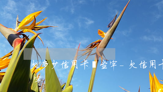 欠多少信用卡會坐牢-欠信用卡多少才會坐牢