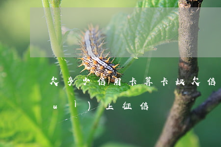 欠多少信用卡算卡奴(欠信用卡多少錢會(huì)上征信)