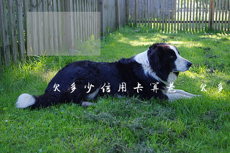 欠多少信用卡算老賴(欠多少信用卡會被起訴)