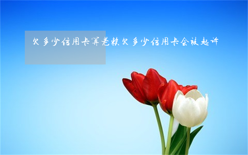 欠多少信用卡算老赖(欠多少信用卡会被起诉)