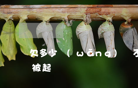 欠多少網(wǎng)貸不還會(huì)被起訴