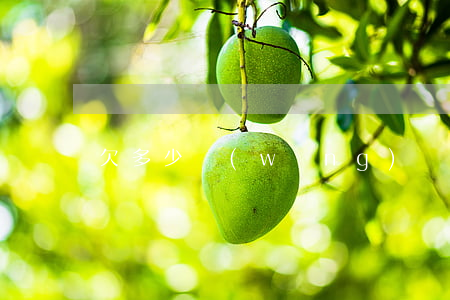 欠多少網(wǎng)貸屬于大額