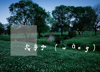 欠多少網(wǎng)貸才可以立案