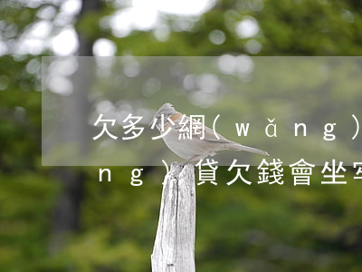 欠多少網(wǎng)貸才會坐牢(網(wǎng)貸欠錢會坐牢嗎)