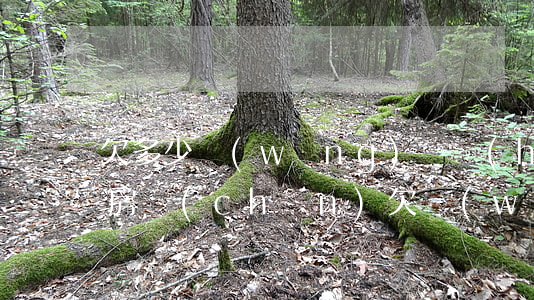欠多少網(wǎng)貸會(huì)拍賣房產(chǎn)(欠網(wǎng)貸會(huì)不會(huì)拍賣我的房產(chǎn))