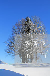 欠多少網(wǎng)貸會(huì)被拘留(網(wǎng)貸欠款多少會(huì)被拘留嗎)