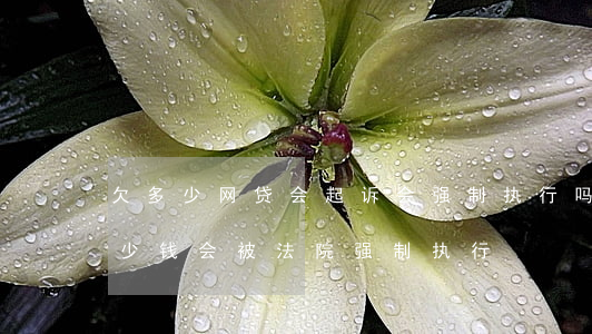 欠多少网贷会起诉会强制执行吗-欠网贷多少钱会被法院强制执行
