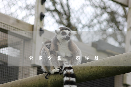 欠多少金額可以起訴
