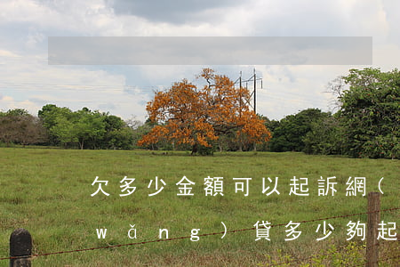 欠多少金額可以起訴網(wǎng)貸(網(wǎng)貸多少夠起訴)