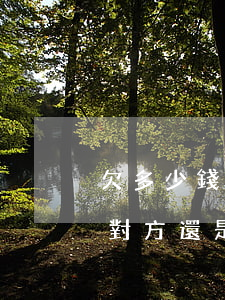 欠多少錢不還可以起訴對方(對方欠錢起訴了對方還是不給怎么辦)