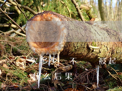 欠多少錢不還會被起訴(欠多少錢被起訴會有什么后果)
