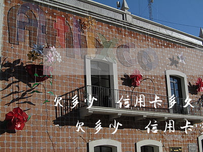 欠多少錢信用卡多久會強制執(zhí)行-欠多少錢信用卡多久會強制執(zhí)行呢