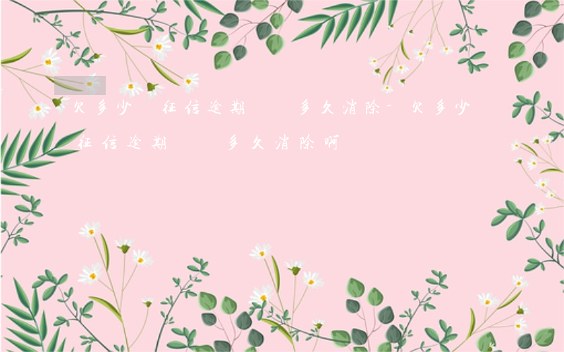 欠多少錢征信逾期記錄多久消除-欠多少錢征信逾期記錄多久消除啊