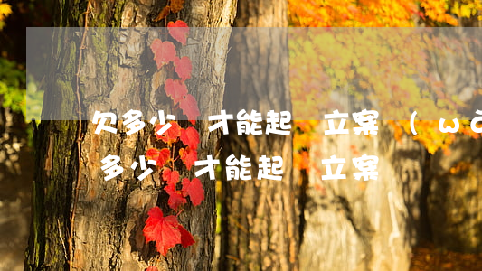 欠多少錢才能起訴立案(網(wǎng)貸欠多少錢才能起訴立案)