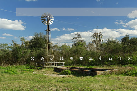 欠多少錢需要坐牢五年(欠多少錢需要坐牢五年)