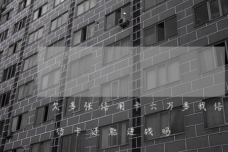 欠多张信用卡六万多(我信用卡欠6万别的银行卡还能进钱吗)