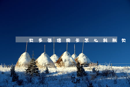 欠多张信用卡怎么判刑(欠多家信用卡)