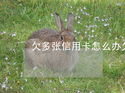 欠多张信用卡怎么办(欠多张信用卡怎么办)