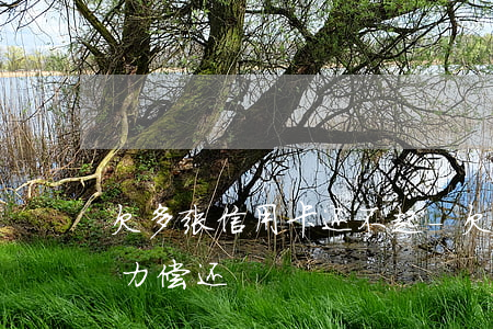 欠多张信用卡还不起-欠了好几张信用卡无力偿还