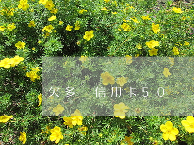 欠多張信用卡50萬