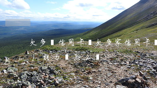 欠多張信用卡嗎 欠多家信用卡錢沒(méi)能力還怎么辦