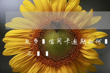 欠多張信用卡逾期如何還（幾個信用卡逾期錢不夠還）