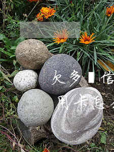 欠多張信用卡逾期要怎么還合理-欠多張信用卡怎么處理